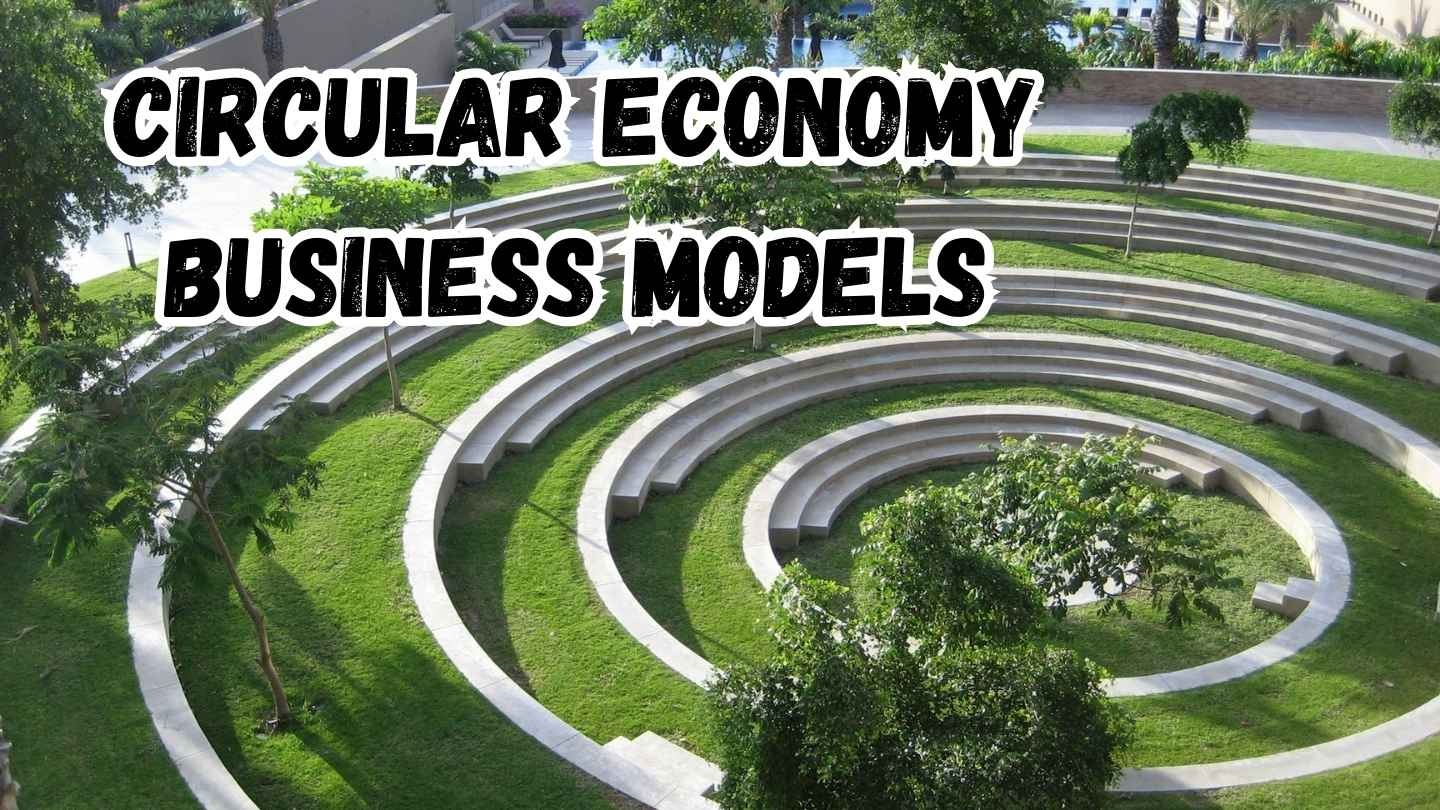 Circular economy business models
