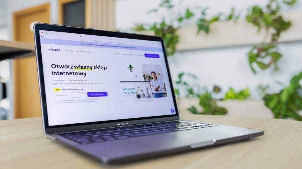 Small Shopify Stores