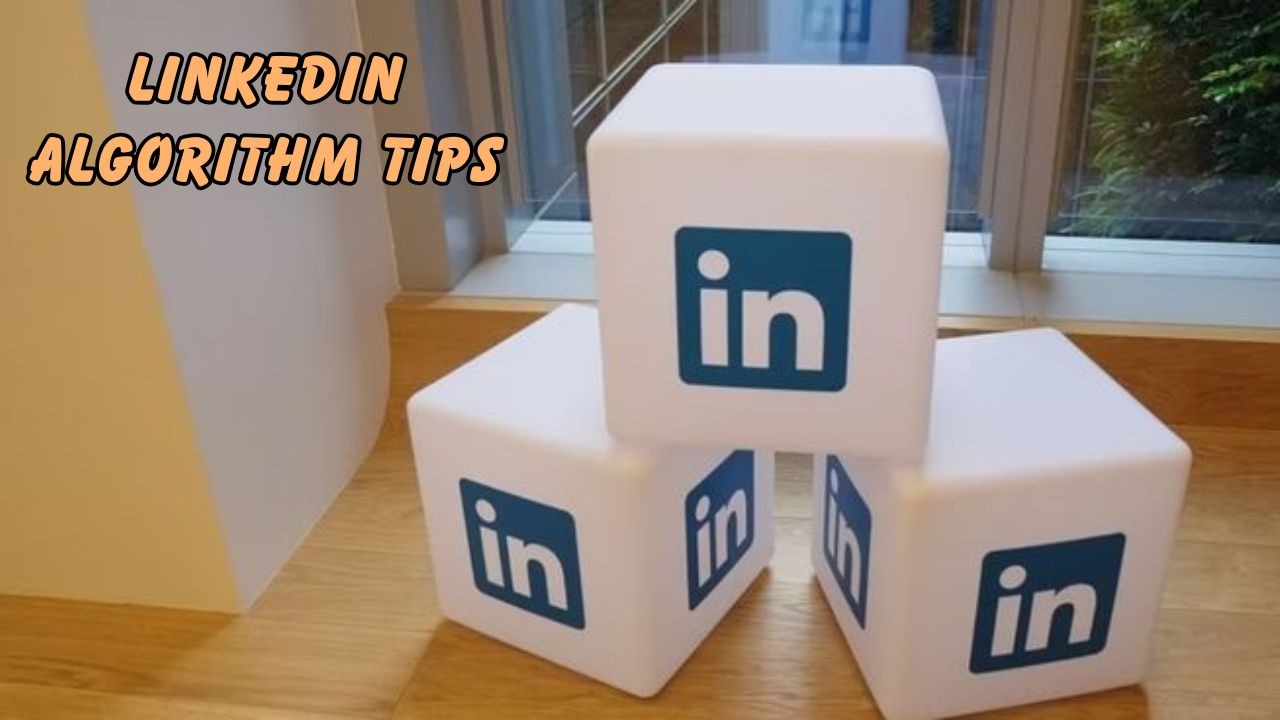 LinkedIn algorithm tips