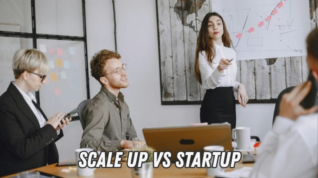 scale up vs startup