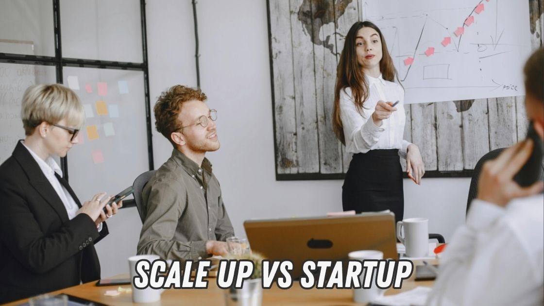 scale up vs startup